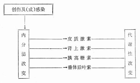 内分泌－代谢性改变的关系
