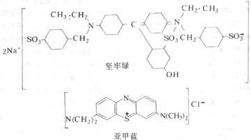 坚牢绿（酸性染料）与亚甲蓝（碱性染料）的化学结构及其染色反应示意