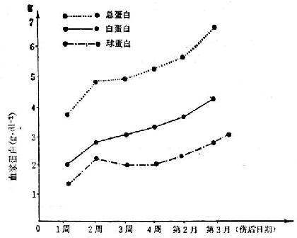 15例(烧伤面积70~90/Ⅲ°40~90%)烧伤后血浆蛋白的变化