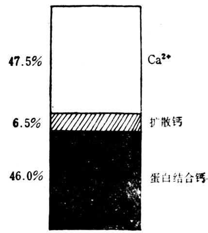 正常人血浆钙的状态 