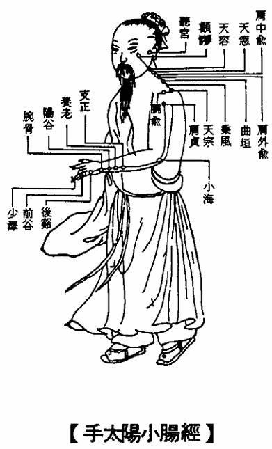 手太阳小肠经