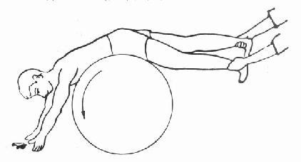 用大体操球的前方上肢防护性伸展反应的训练