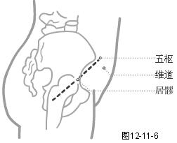 足少阳胆经穴