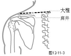 足少阳胆经穴