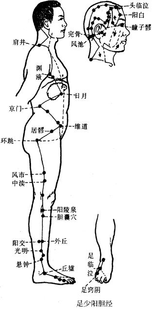 足少阳胆经