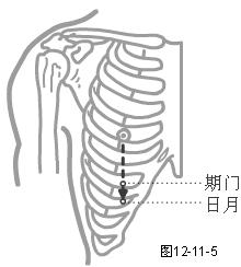 足少阳胆经穴