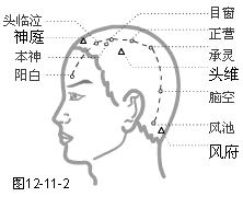 足少阳胆经穴