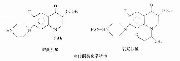 一、喹诺酮类药物概述