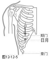 足厥阴肝经穴