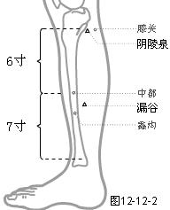 足厥阴肝经穴