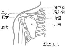 手太阳小肠经穴