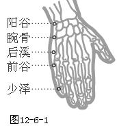 手太阳小肠经穴