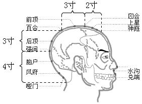 督脉穴