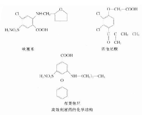 （一）高效利尿药