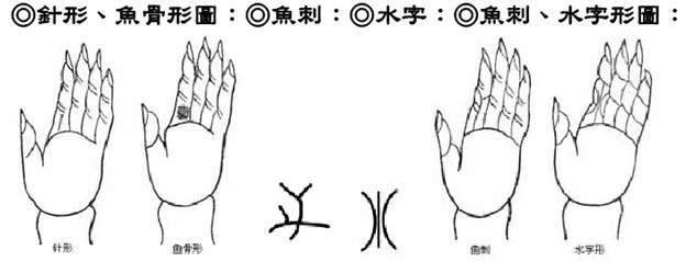 針形、魚骨形圖;魚刺、水字;魚刺、水字形圖
