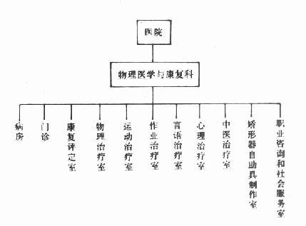 物理医学与康复科的组织结构