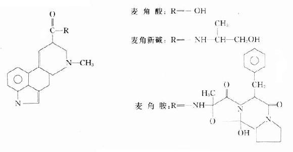 麦角酸和麦角新碱的化学结构