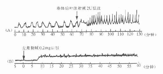 垂体后叶剂与麦角新碱对人子宫的作用