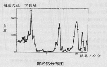 胃经钙分布图