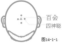 奇穴头颈部穴