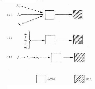 病因(A1、A2、A3)对机体的三种作用方式示意图