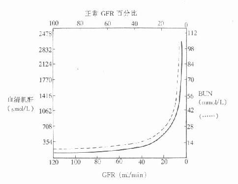肾小球滤过率与血肌酐、尿素浓度的关系