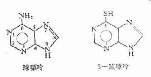 6-颈嘌呤