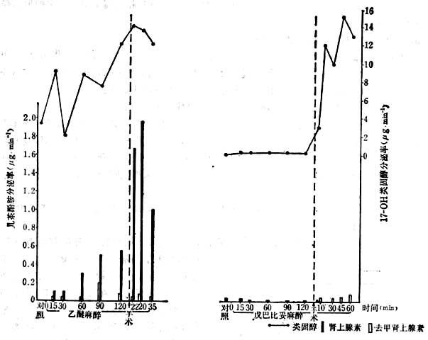 实验狗儿茶酚胺及类固醇分泌率