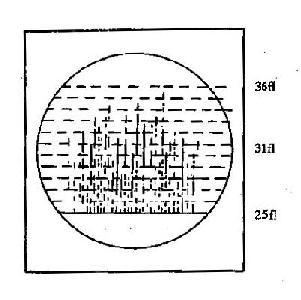 仪器监测屏上显示白细胞通过脉冲
