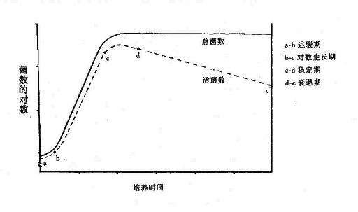 细菌的生长曲线