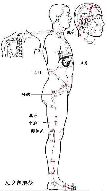 足少阳胆经