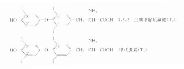 甲状腺激素化学结构示意图