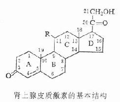 第三十四章　肾上腺皮质激素类药物