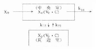 模式图和药-时关系