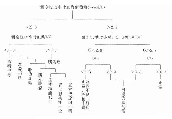 空腹型低血糖症的诊断程序
