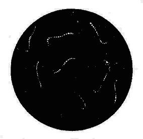 钩端螺旋体(暗视野映光法)