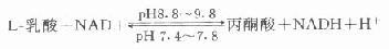 乳酸脱氢酶（LD）酶催化反应：