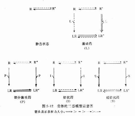 二、受体类型