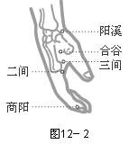 手阳明大肠经穴