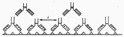 假阴性及其处理 