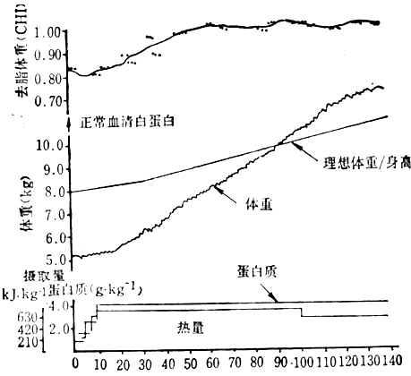 年龄16个月消瘦型蛋白质-能量营养不良患者治疗时去脂体重恢复情况 