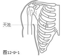 手厥阴心包经穴