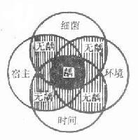 四联因素论图解